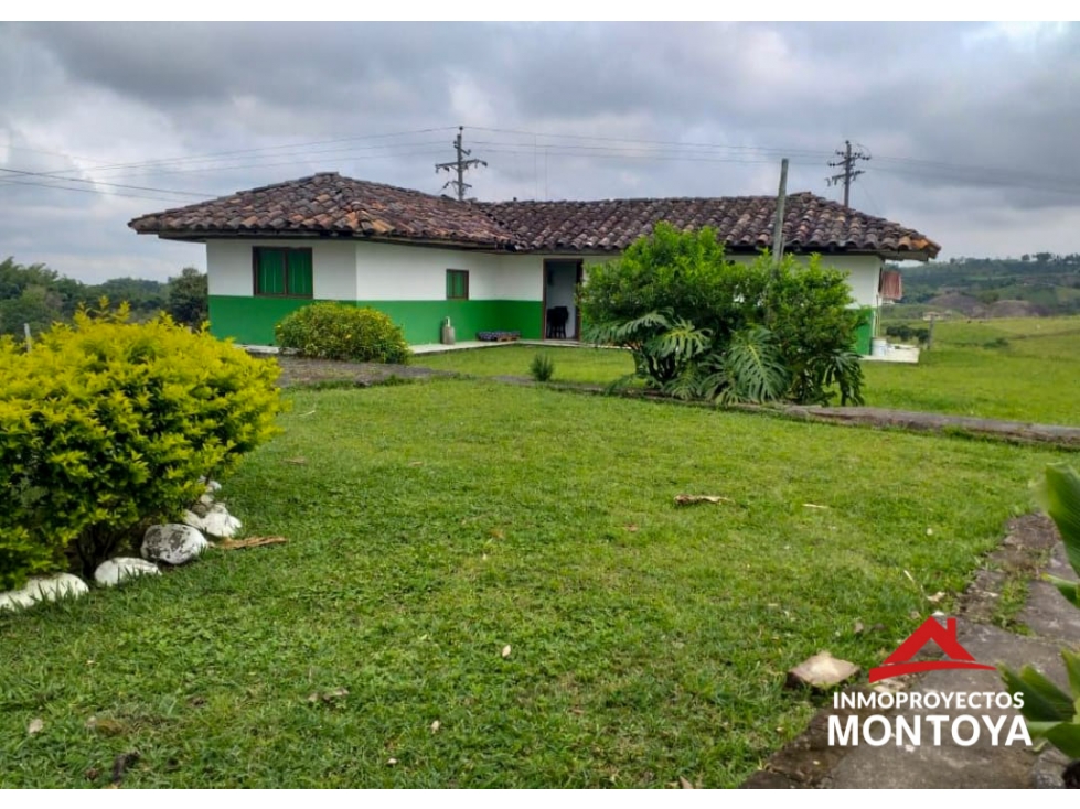 Finca ganadera en Arabia, Pereira — foto 3