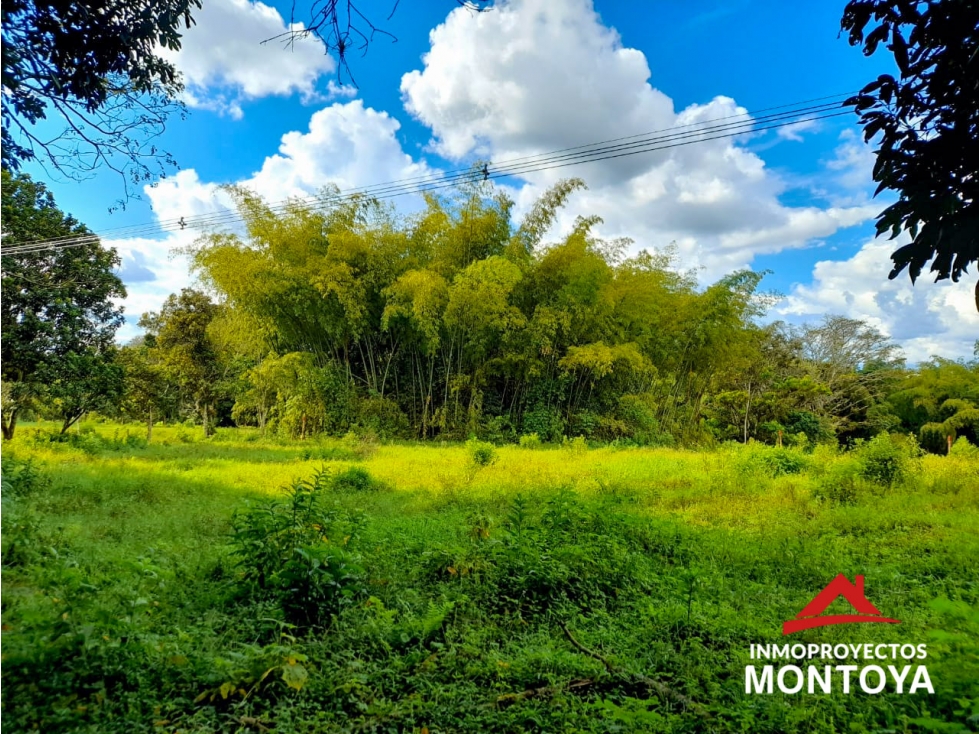 Lote campestre sector de la siria, Pereira — foto 4