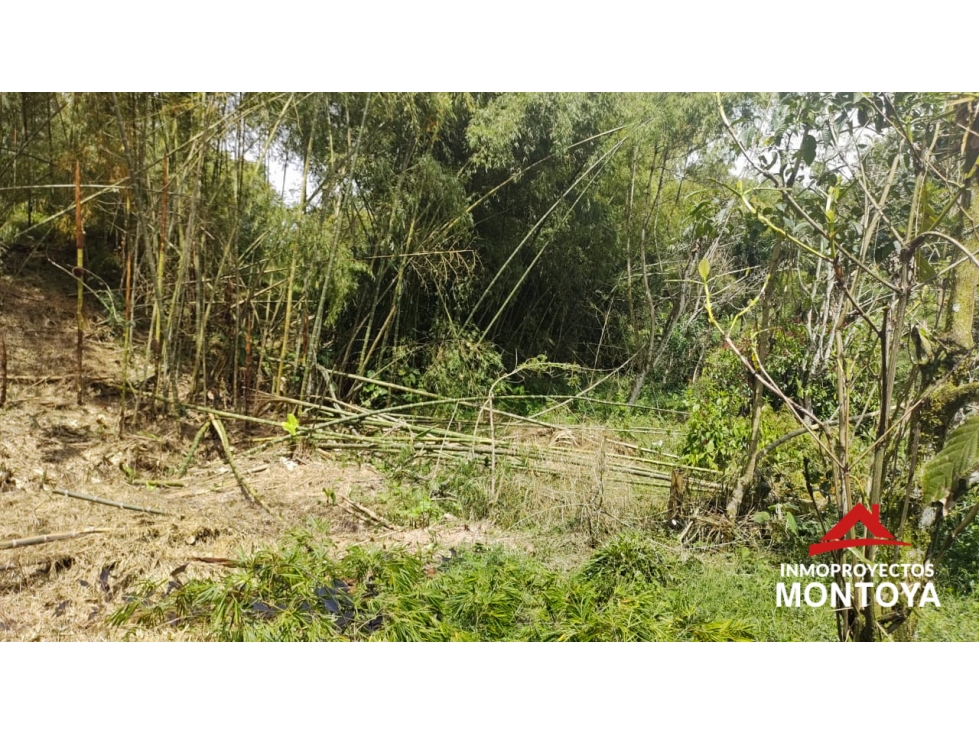 Lote suburbano multipropósito en Cerritos, Pereira — foto 6