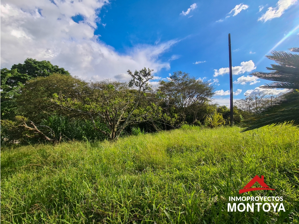 Lote multipropósito sobre la vía Cerritos-Pereira — foto 2