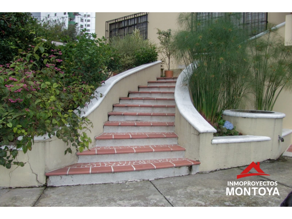 Casa-lote comercial en Los Alpes, Pereira — foto 3