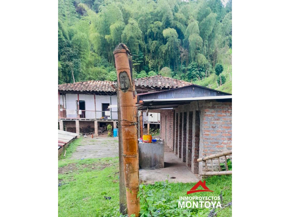 Finca cafetera a 20 min de Ansermanuevo, Valle - 2
