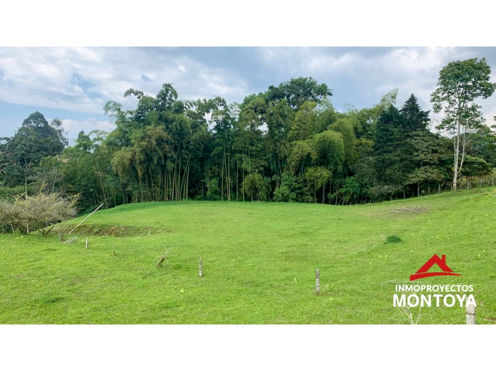 Lotes en parcelación, Condina, Pereira — foto 4