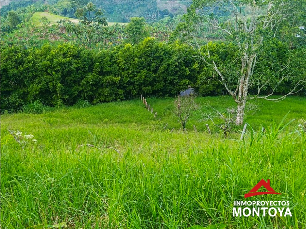 Finca productiva en la vía a Altagracia, Pereira — foto 4