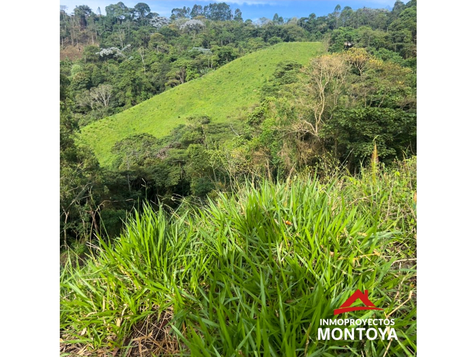 Finca ganadera de 28 cuadras en Marsella — foto 2