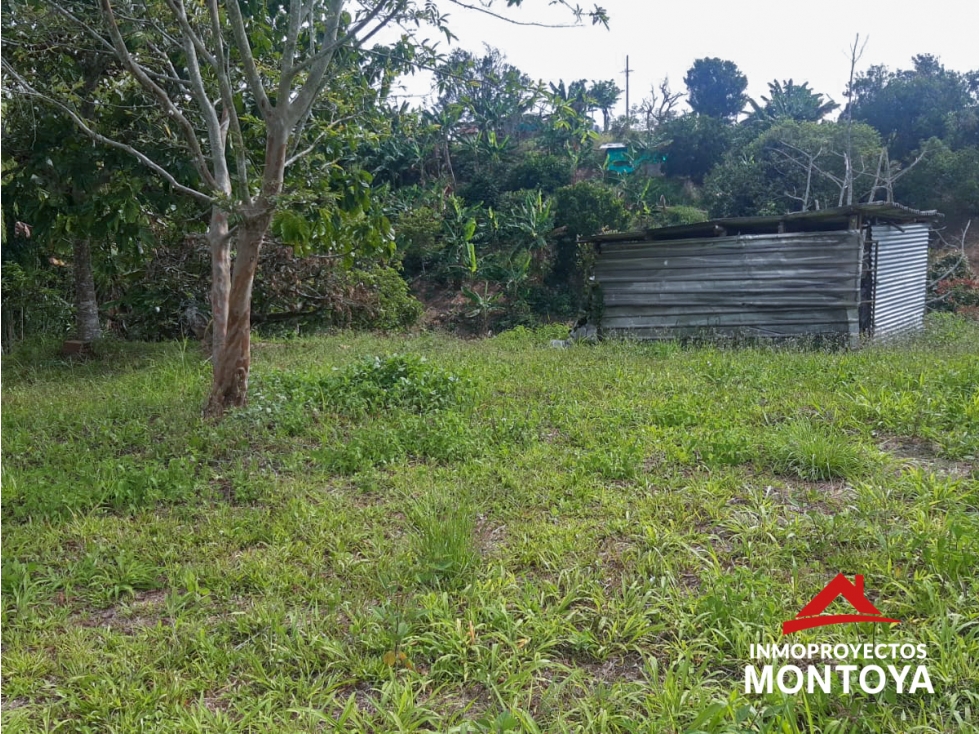 Lote campestre en Combia, sector San Marino, Pereira — foto 4