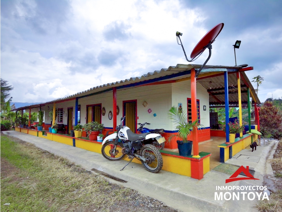 Finca cafetera tecnificada en Santa Rosa de Cabal — foto 6