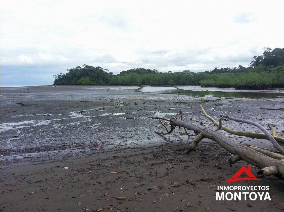 Oportunidad? Lote con playa en Piangua Grande, Buenaventura - 4