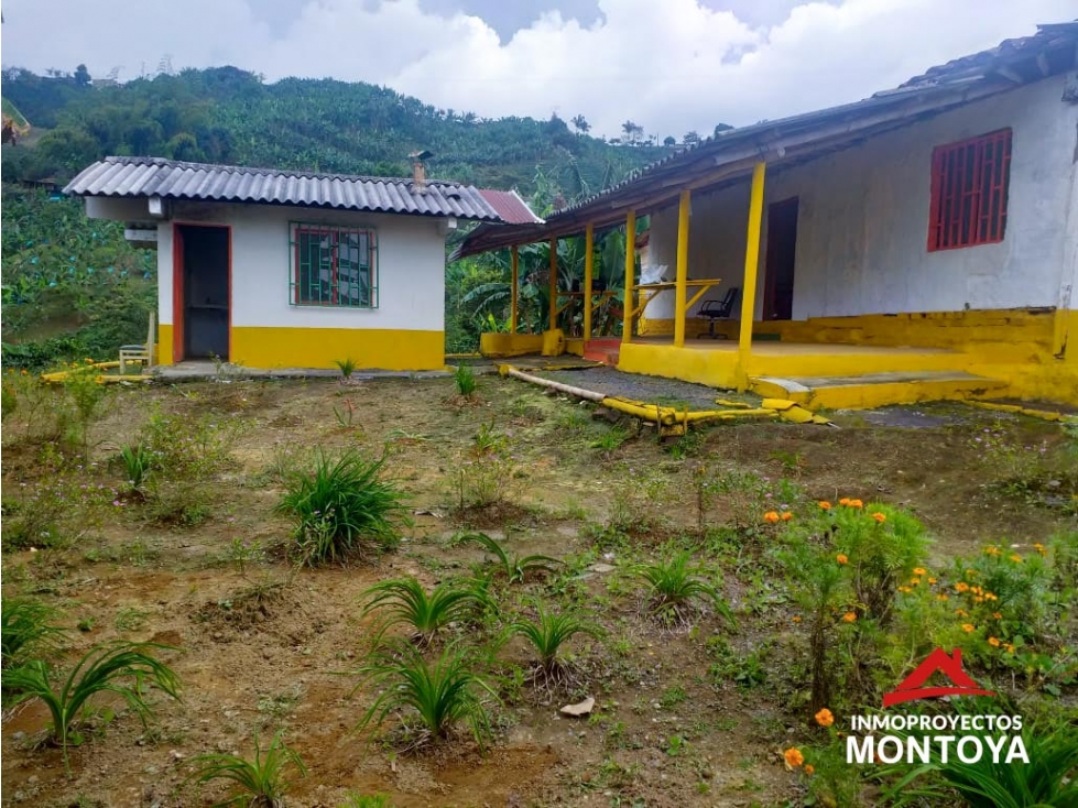 Finca cafetera tecnificada en Altagracia, Pereira — foto 3