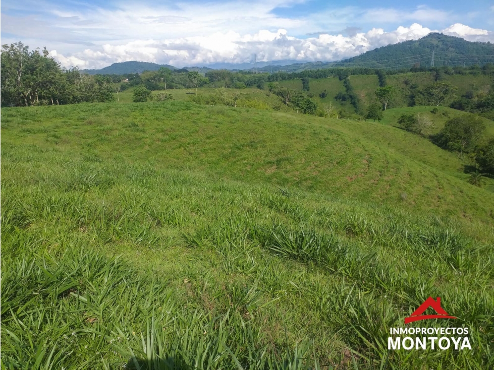 Oportunidad? Finca ganadera, sector Combia-La Honda, Pereira — foto 4