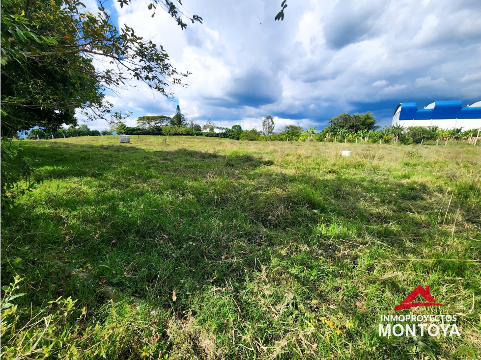 Arriendo lote comercial en la vía de Cerritos, Pereira - 6