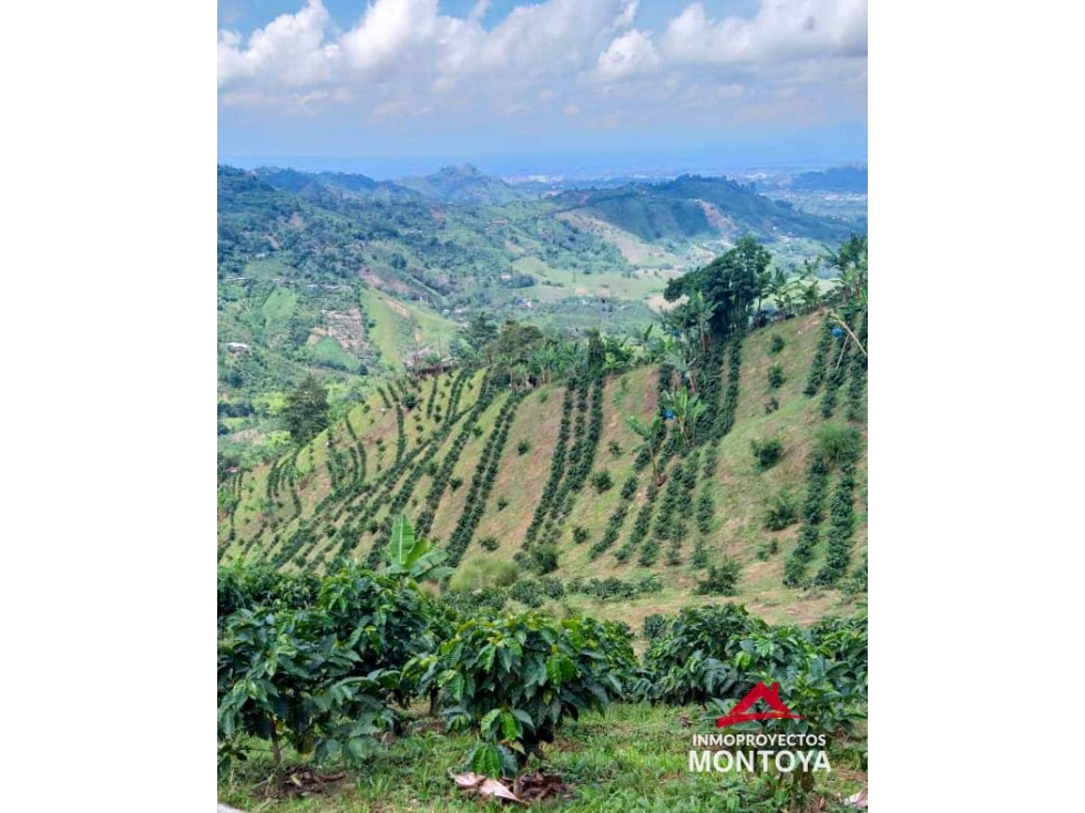 Finca cafetera tecnificada en Combia, Pereira — foto 5