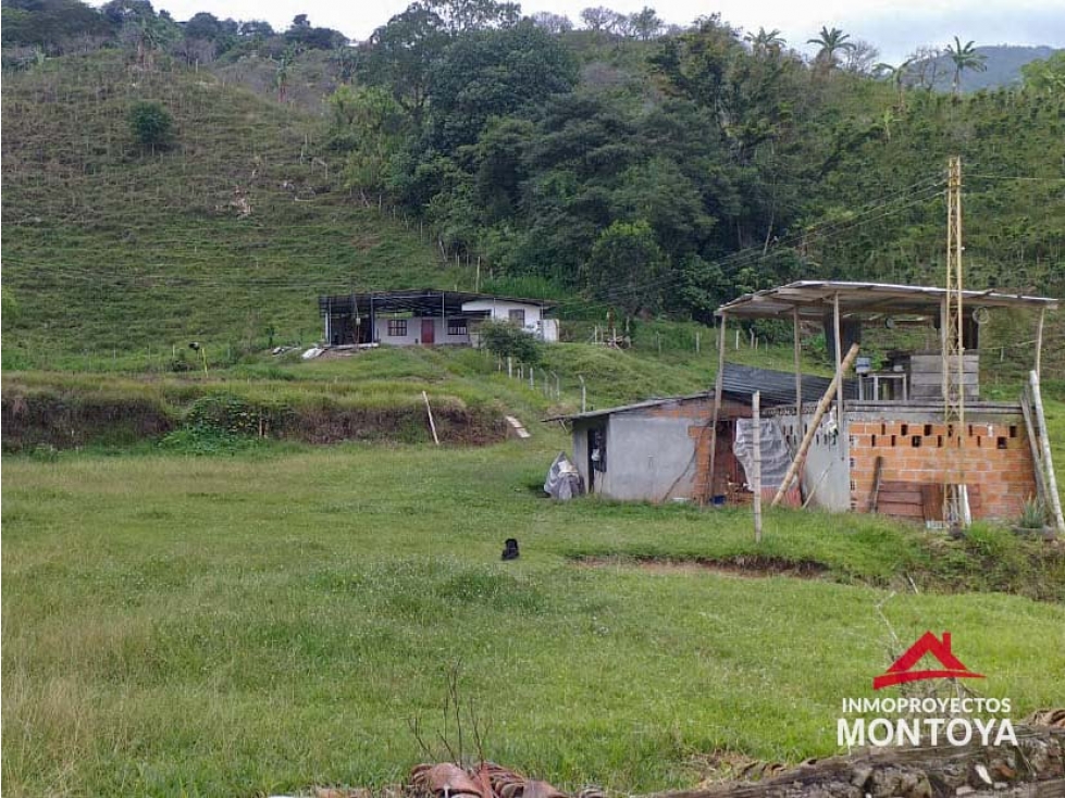 Finca ganadera en Combia, Pereira — foto 5