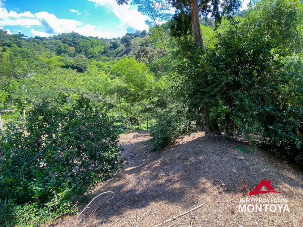 Lote campestre, sector vía Alcalá-Cartago - 1