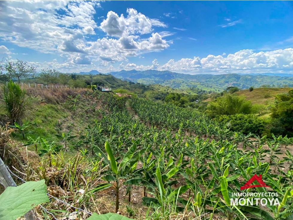 Excelente valor? Lote en sector vía Alcalá-Cartago - 4
