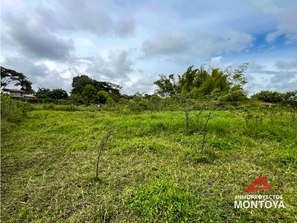 Lote sector Cerritos, Pereira — foto 4