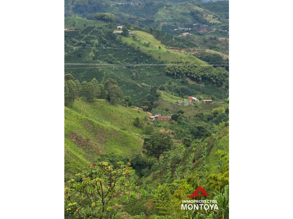 Venta finca productiva en Santa Rosa de Cabal, Risaralda — foto 4