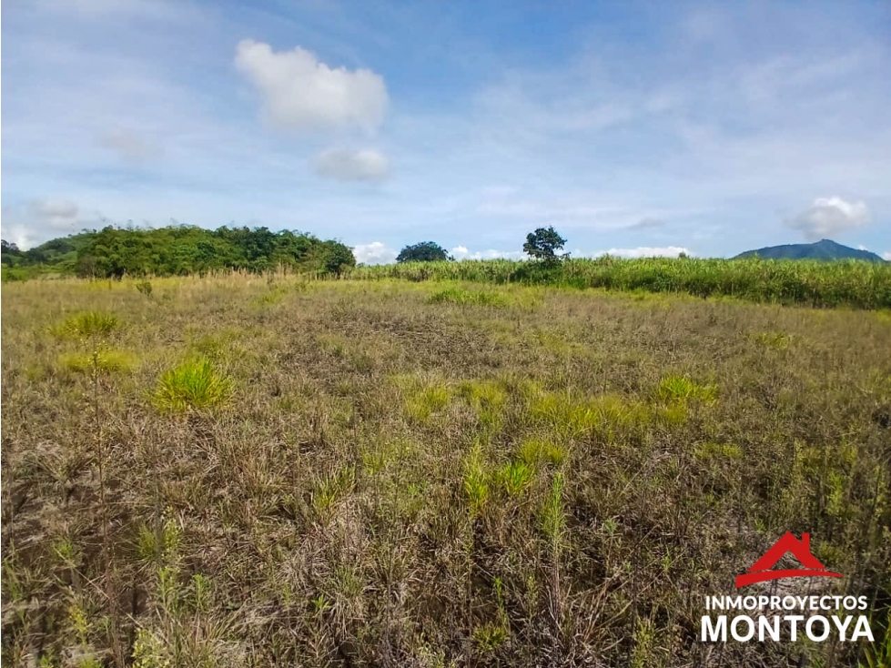 Venta Lote, Combia, Pereira — foto 5