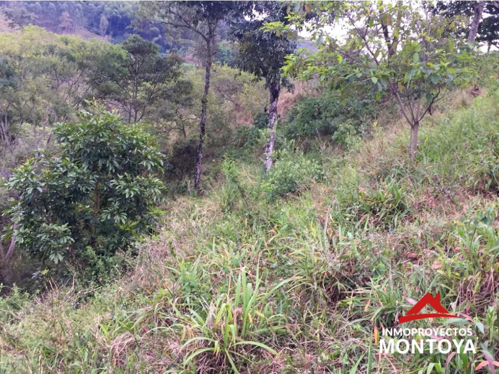 Finca de 24 cuadras en Marsella, Risaralda - 5