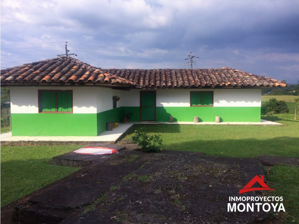 Finca ganadera en Arabia, Pereira — foto 4