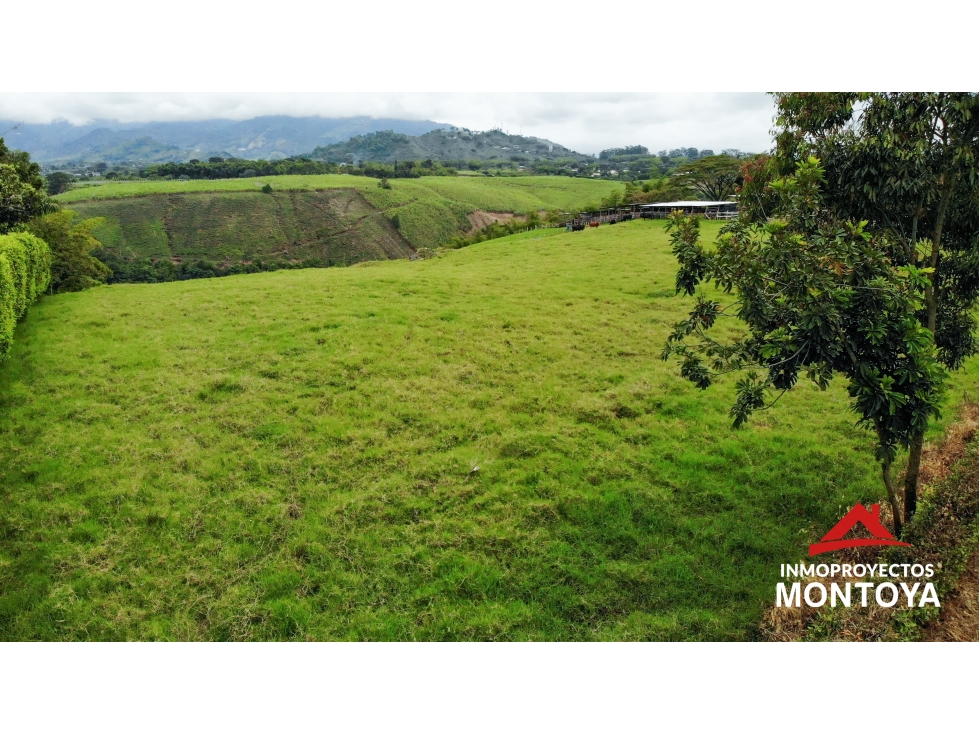 Lotes campestres en parcelación, Cerritos, Pereira — foto 5