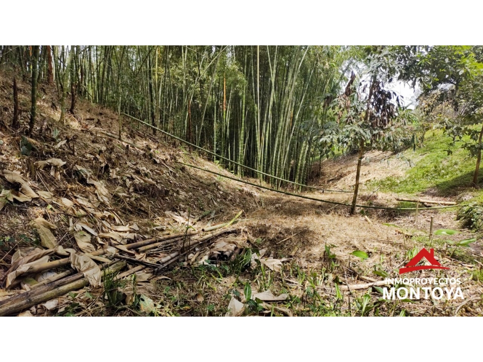 Lote suburbano multipropósito en Cerritos, Pereira — foto 3