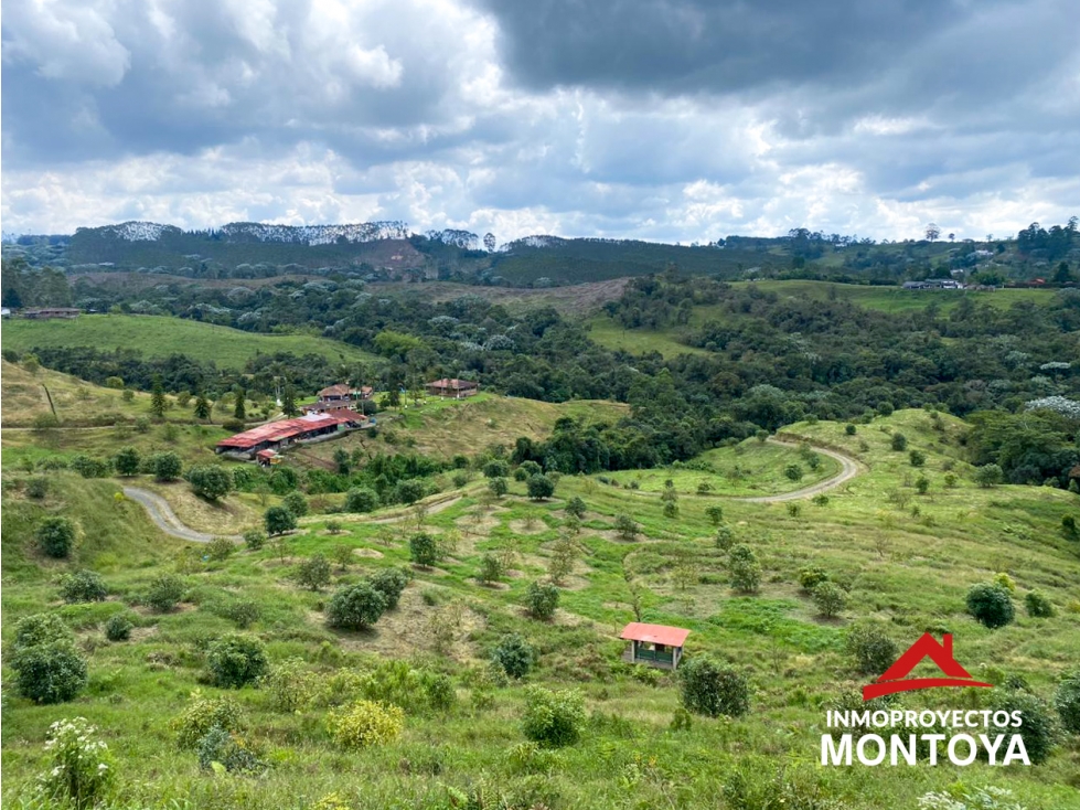 Finca de aguacate Hass, sector El Manzano, Pereira — foto 4