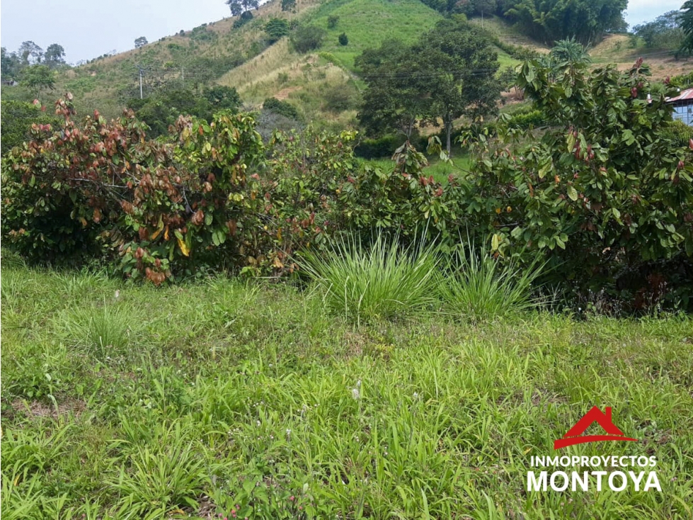 Lote campestre en Combia, sector San Marino, Pereira — foto 3