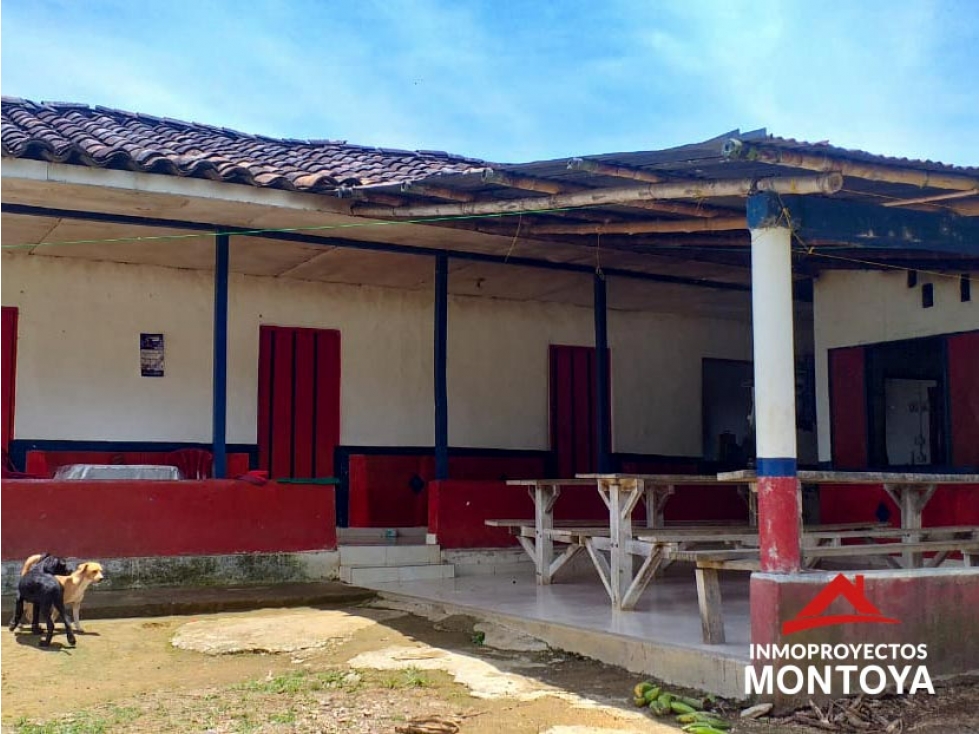 Finca cafetera tecnificada en la vía a Marsella — foto 3