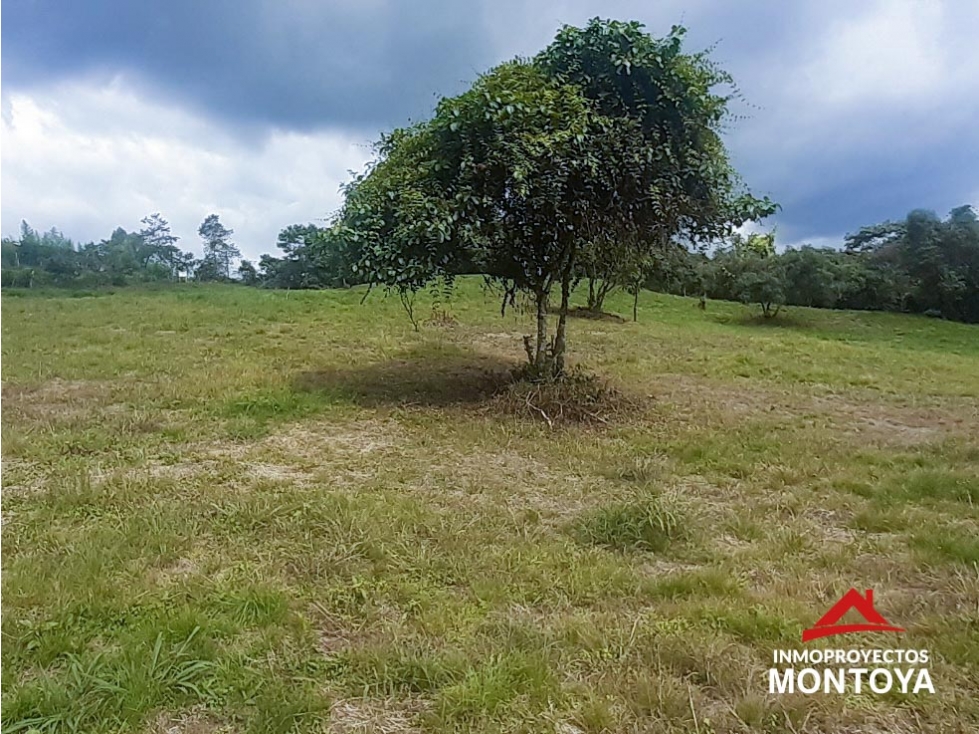 Lote en condominio a 7 min de Filandia, Quindío - 6
