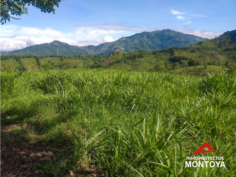 Oportunidad? Finca ganadera, sector Combia-La Honda, Pereira — foto 3
