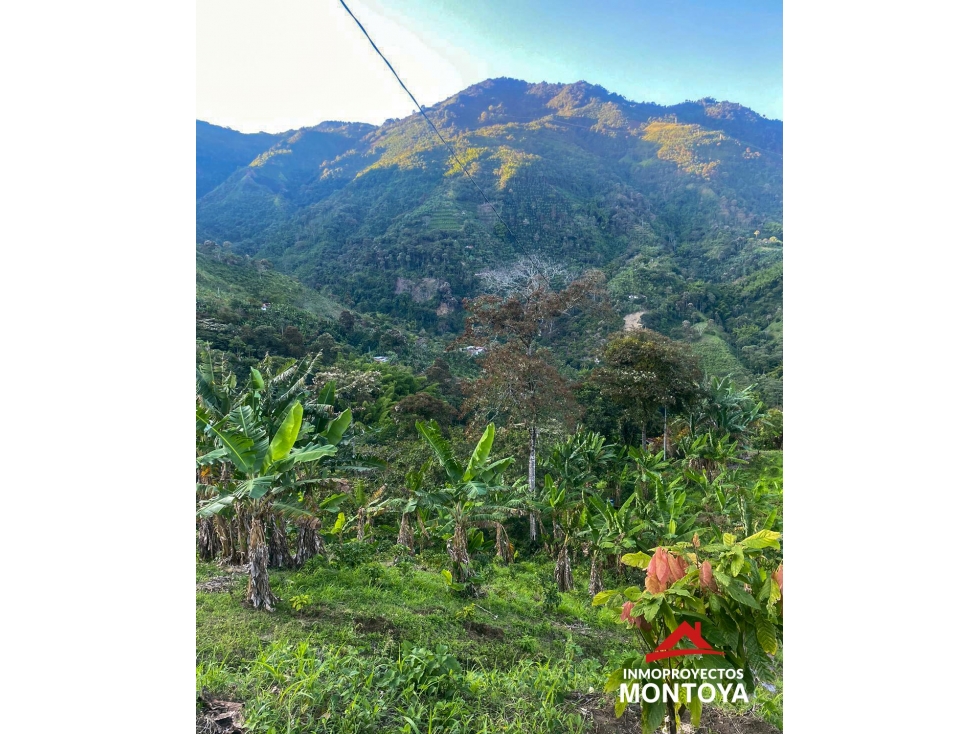 Lote de 5 cuadras cerca a Risaralda, Caldas - 1