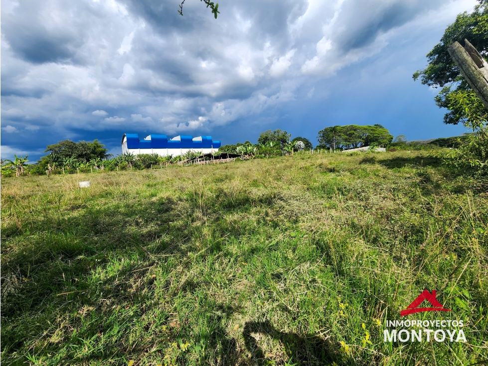 Arriendo lote comercial en la vía de Cerritos, Pereira - 5