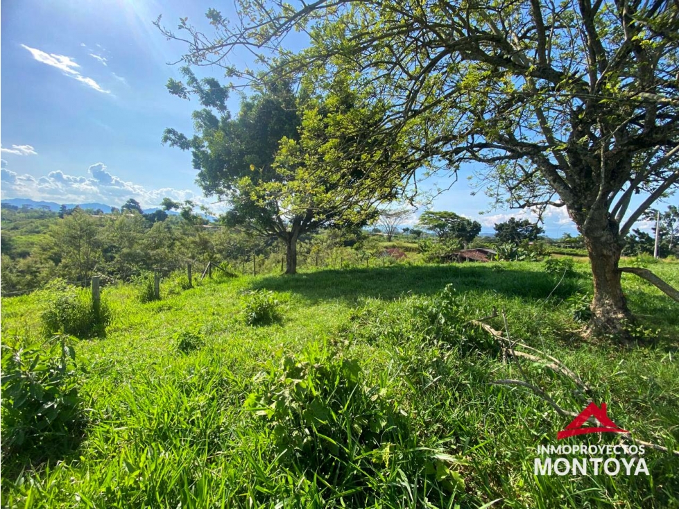 Lote en parcelación, sector vía Alcalá-Cartago - 3