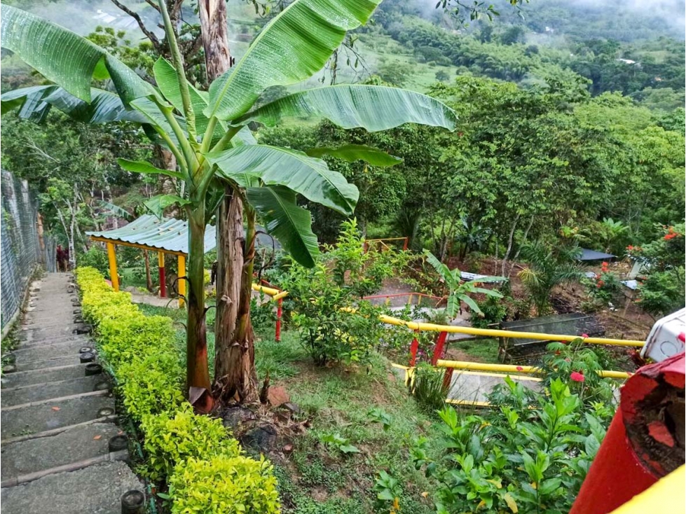 Casa-lote comercial sobre la vía Alcalá-Cartago - 5