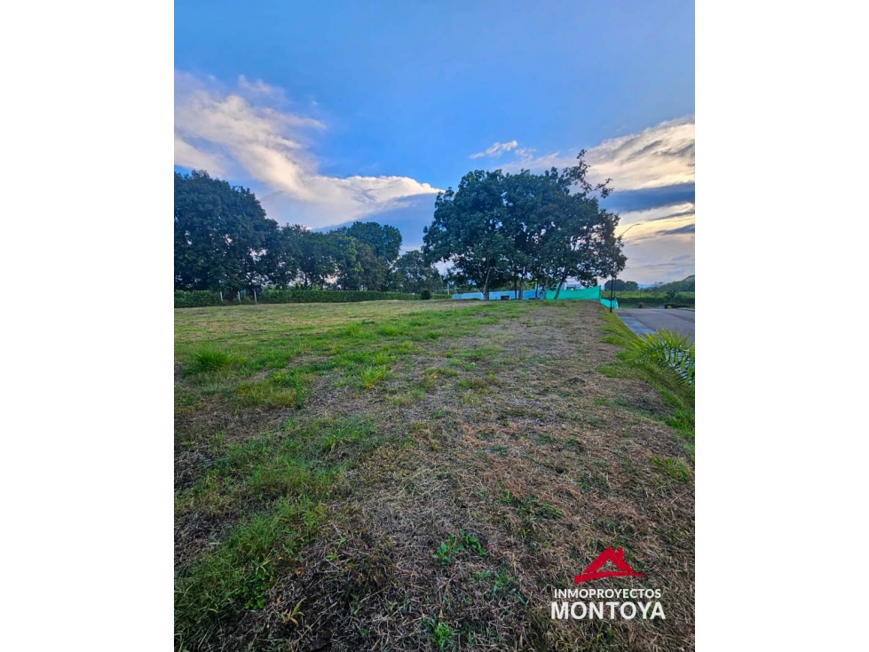 Lotes campestres, Cerritos-El Tigre, Pereira — foto 3