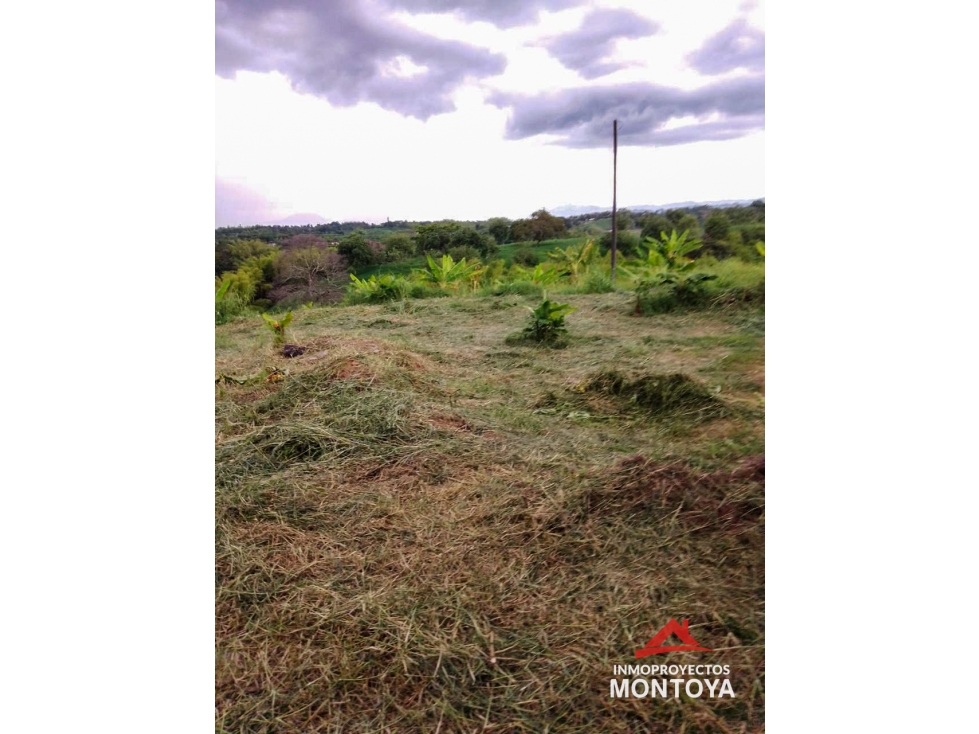 Lotes en parcelación, Morelia, Pereira — foto 4