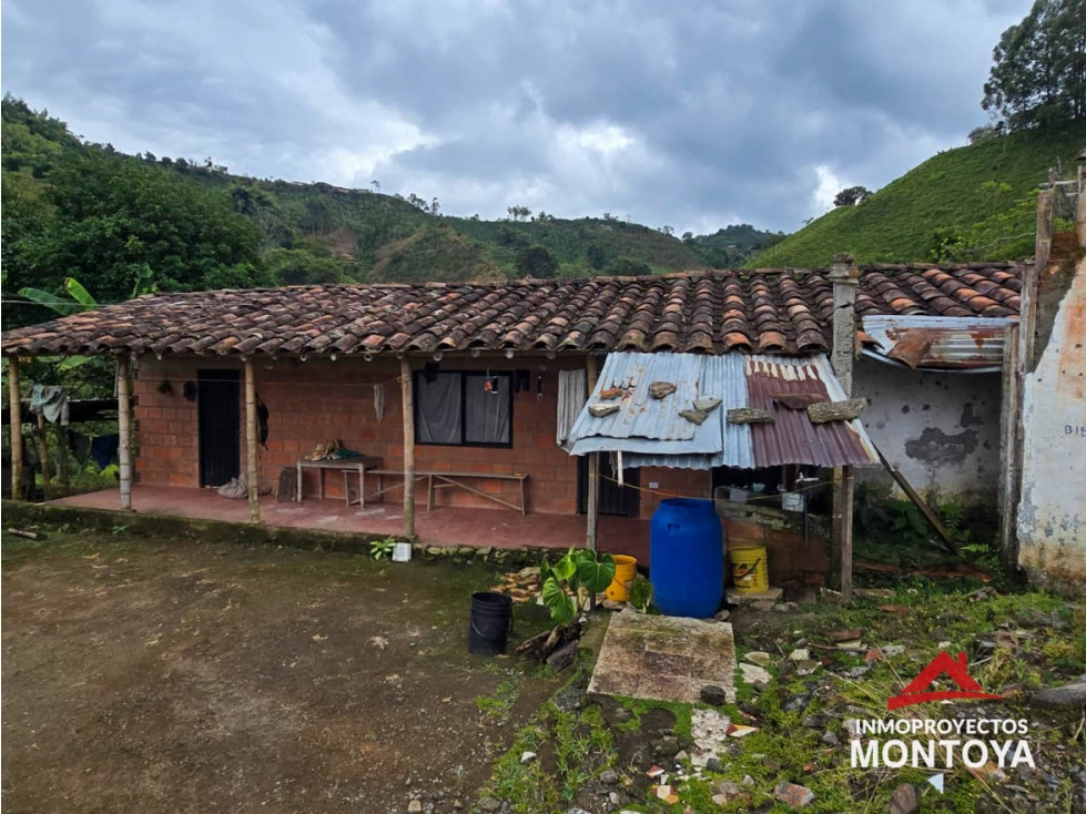Venta finca productiva en Santa Rosa de Cabal, Risaralda — foto 5