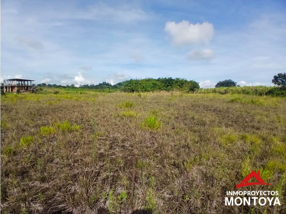 Venta Lote, Combia, Pereira