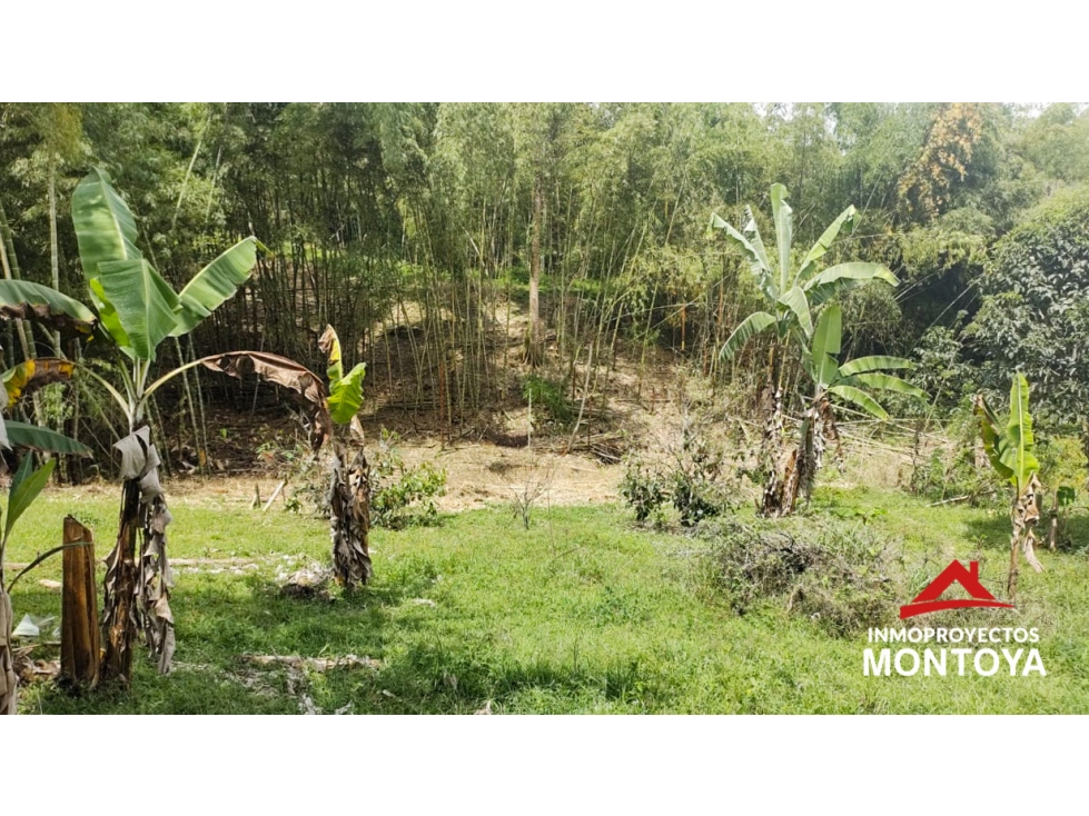 Lote suburbano multipropósito en Cerritos, Pereira — foto 2