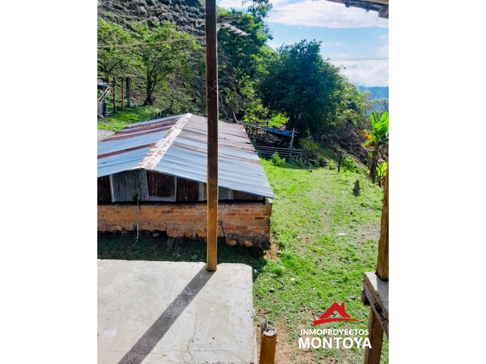 Finca cafetera a 20 min de Ansermanuevo, Valle - 3