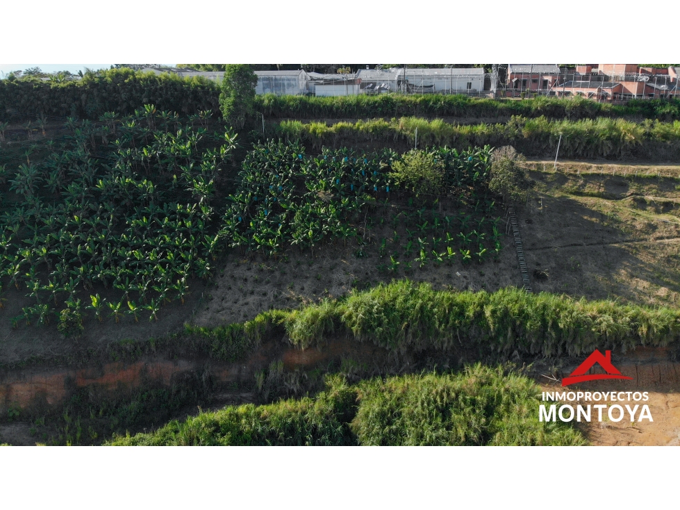 Lote en parcelación, Combia, Pereira