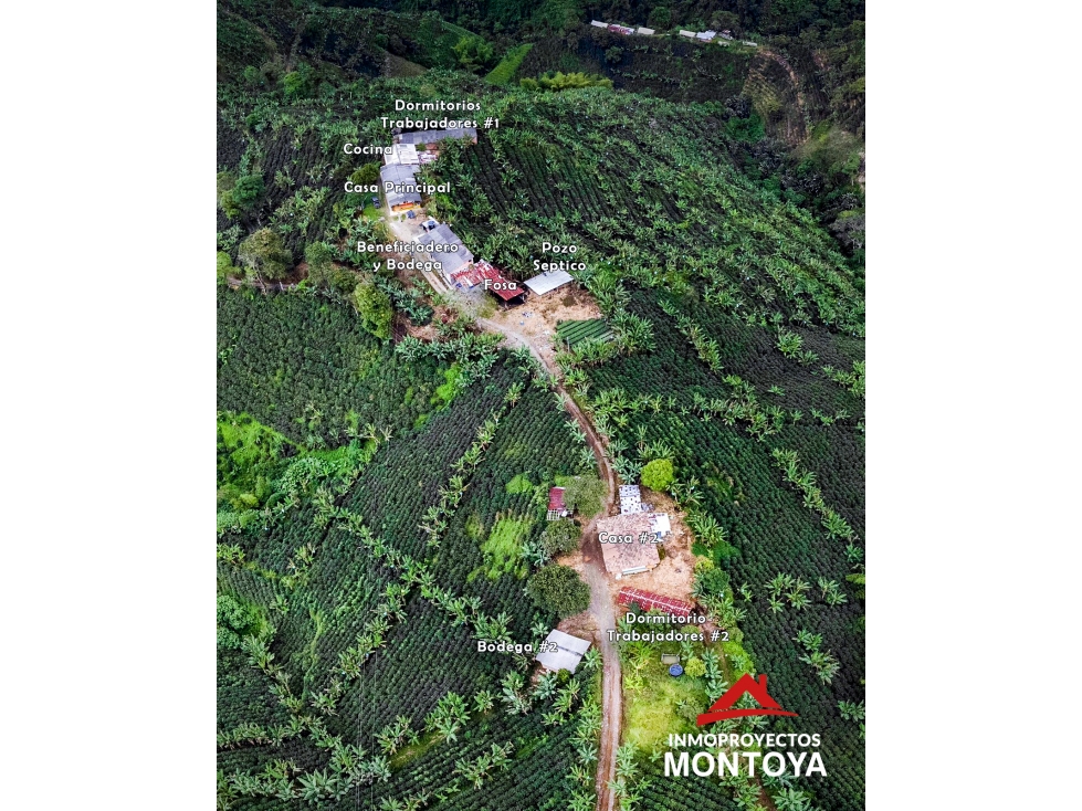Finca cafetera tecnificada en Santa Rosa de Cabal — foto 4