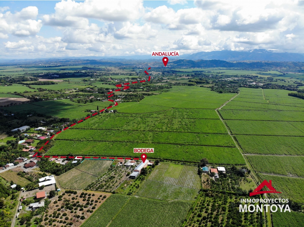 Oportunidad única! Bodega en Andalucía Valle - 2