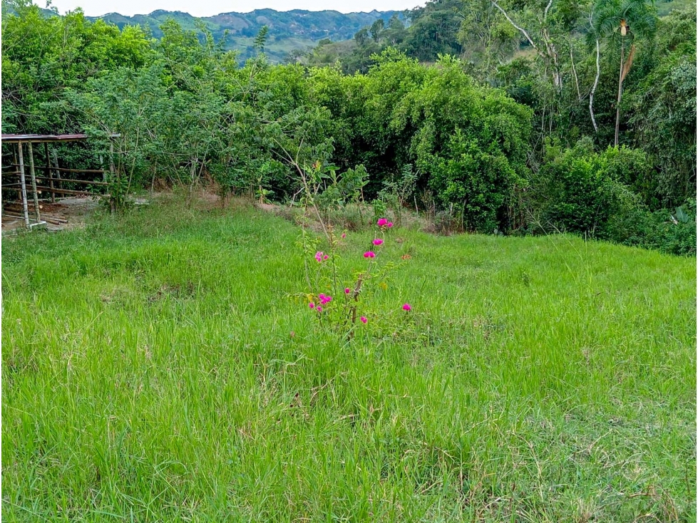Casa-lote en la vía Alcalá-Cartago - 2