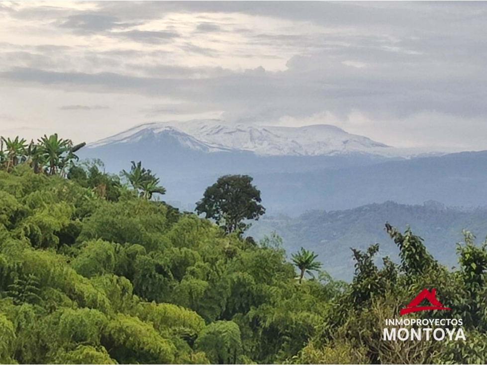Lotes en parcelación, Alto del Nudo, Pereira — foto 4