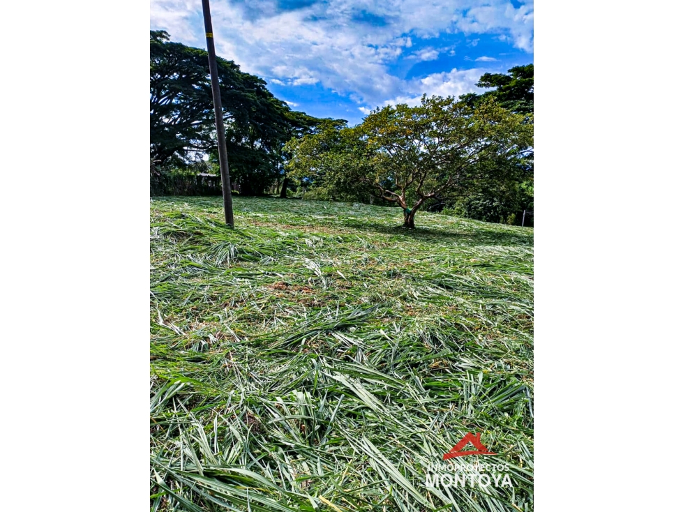 Lote en Cerritos, Pereira