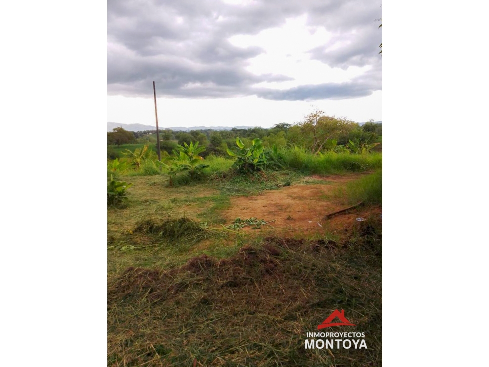 Lotes en parcelación, Morelia, Pereira — foto 2