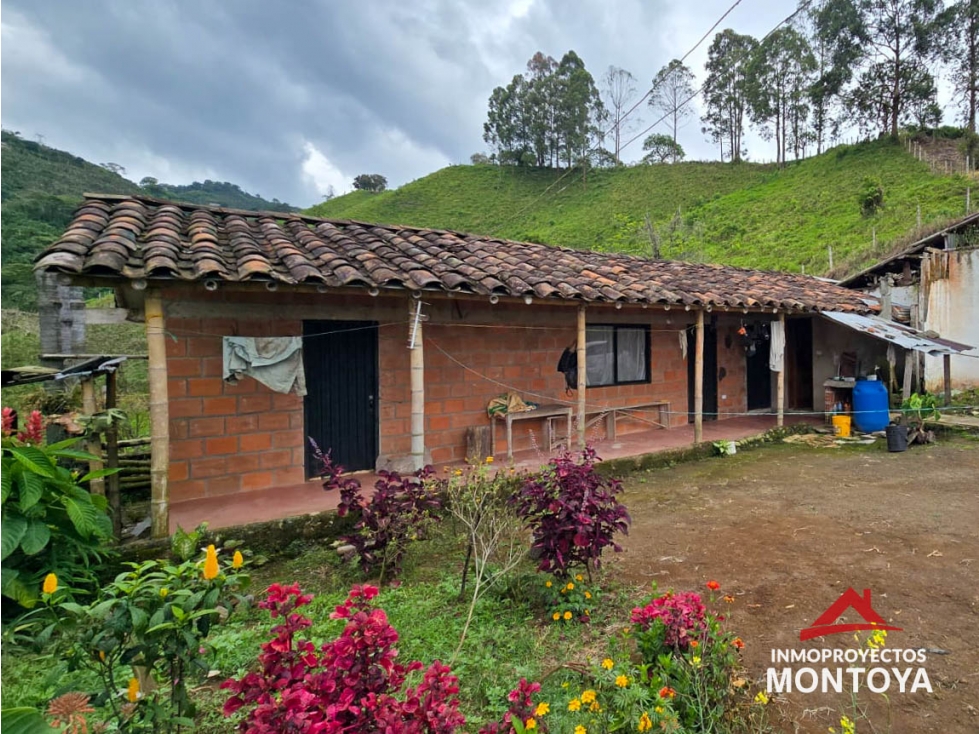 Venta finca productiva en Santa Rosa de Cabal, Risaralda — foto 6