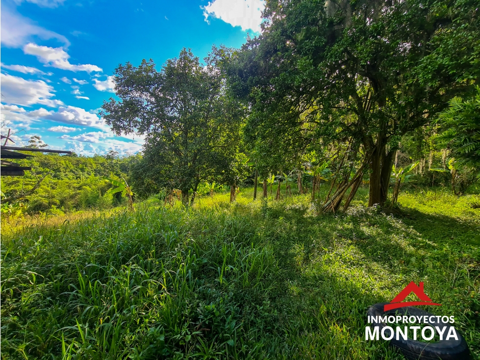 Lote multipropósito sobre la vía Cerritos-Pereira — foto 6